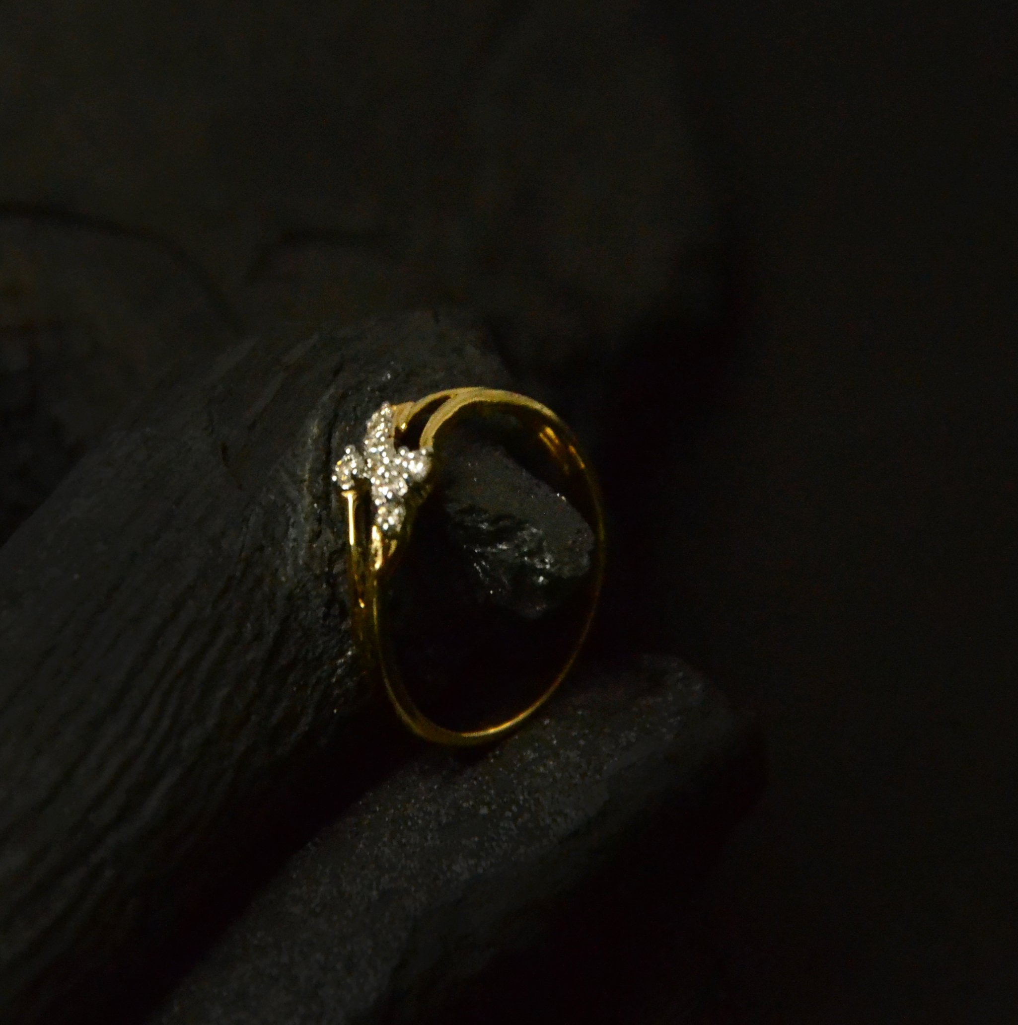 Light Weight Vieira Ring - Image 4