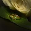Jewel Mim Ring