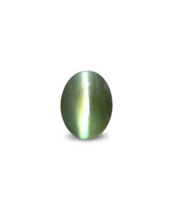 Cat's Eye (Lehsunia)