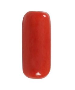 Red Coral (Moonga) Gemstone